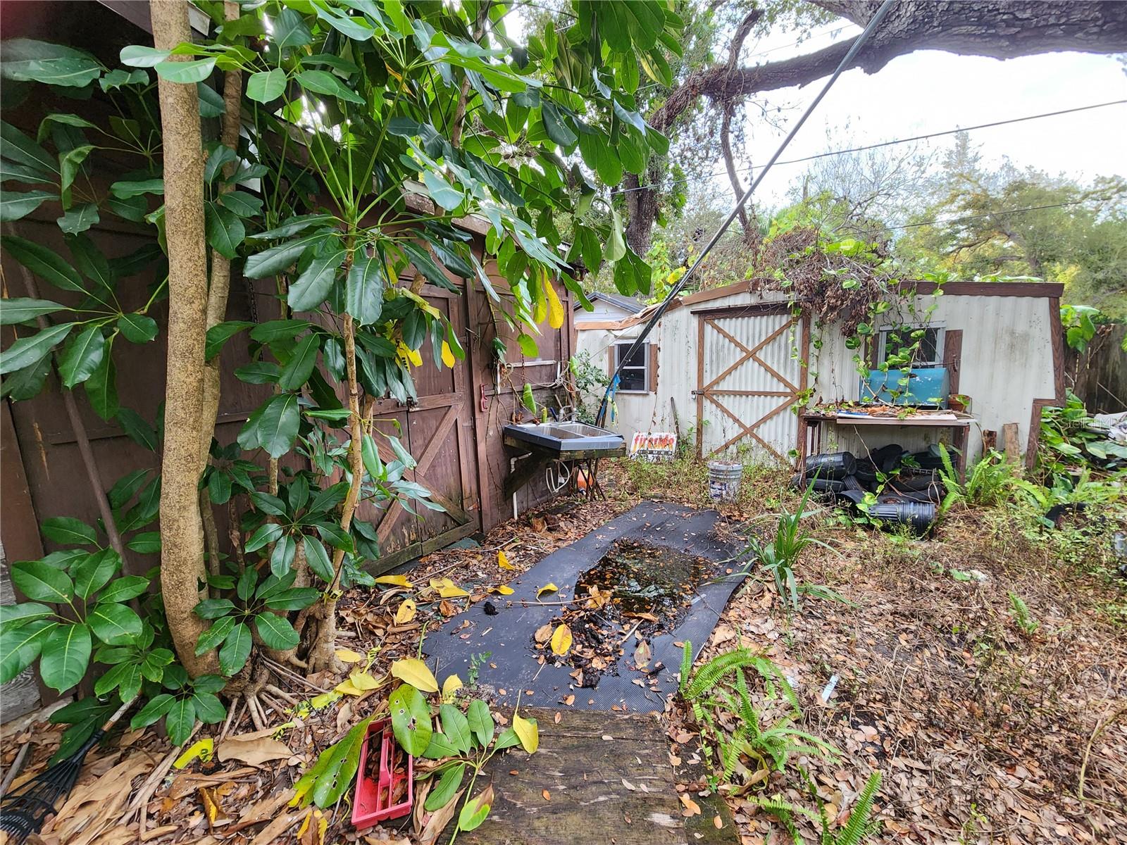 Image 12 of 70 For 286 Shamrock Drive