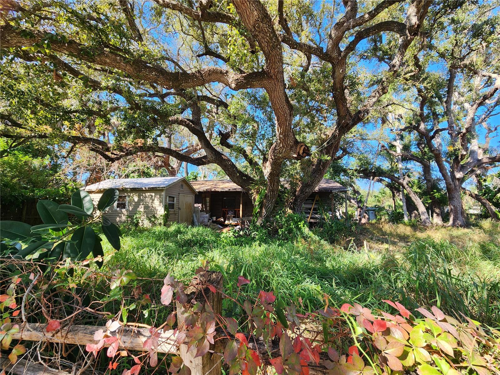 Image 13 of 70 For 286 Shamrock Drive