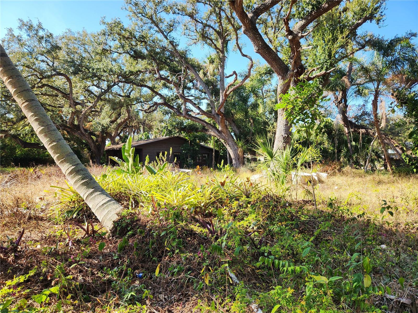 Image 15 of 70 For 286 Shamrock Drive