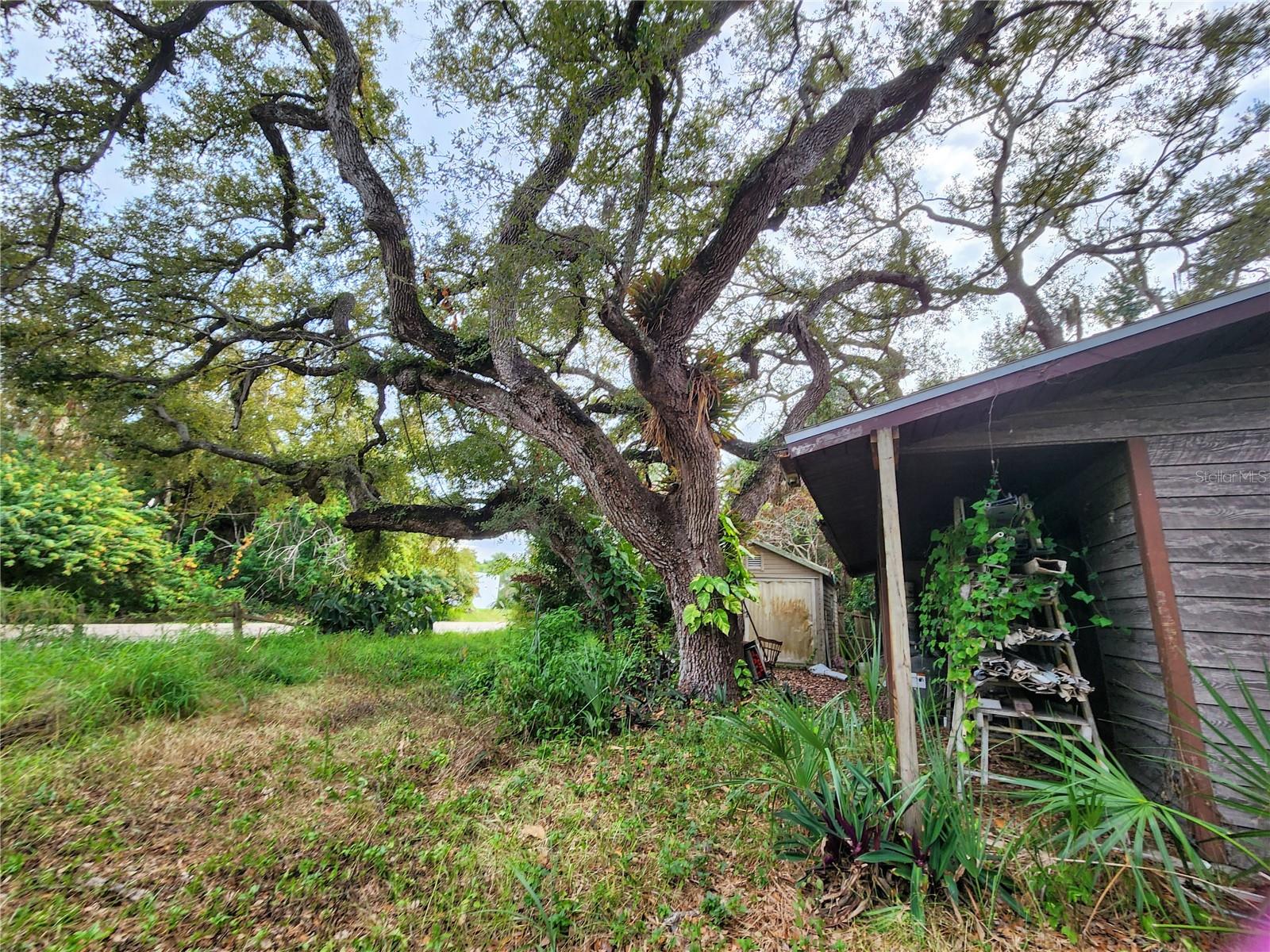 Image 16 of 70 For 286 Shamrock Drive