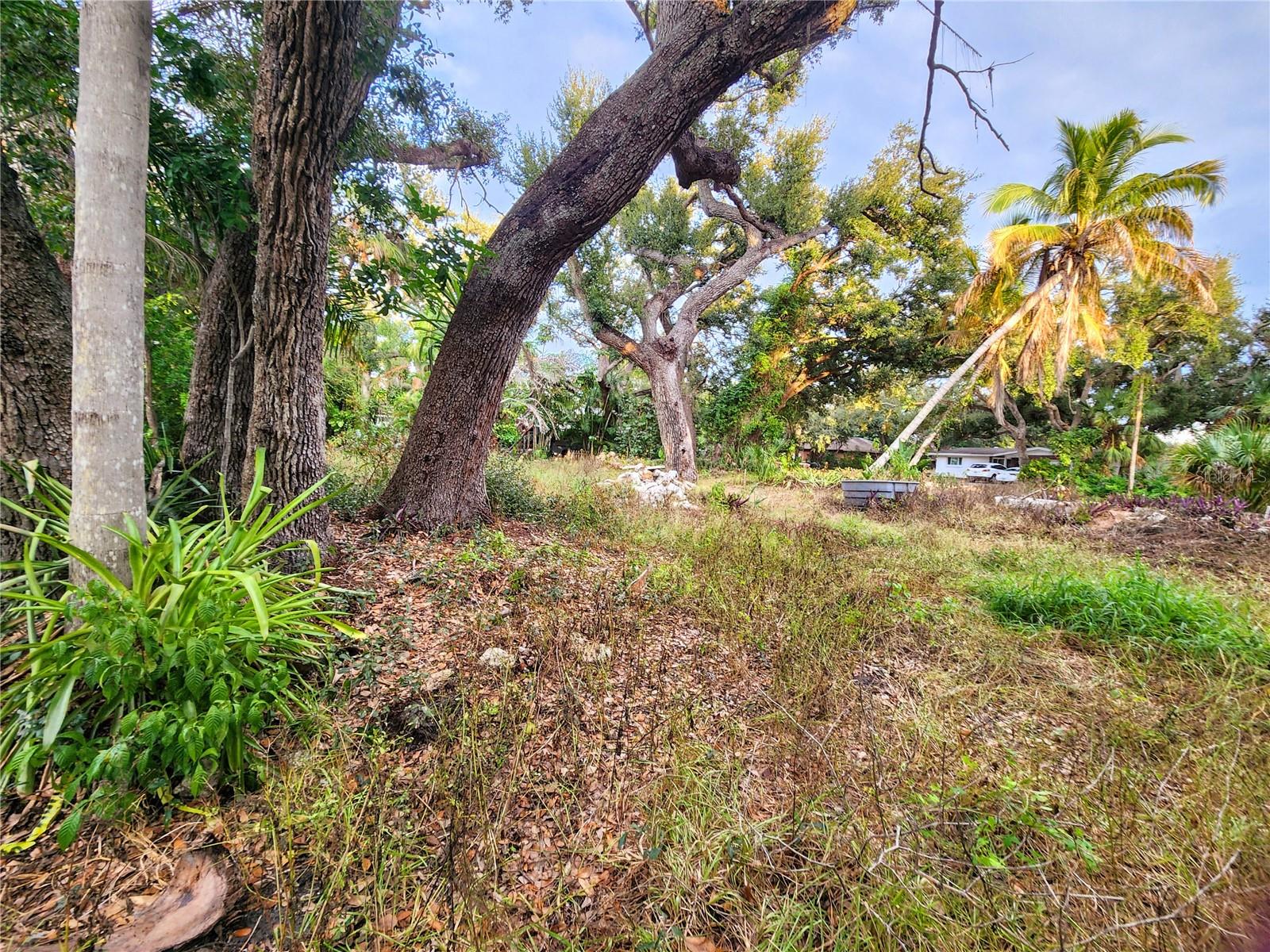 Image 21 of 70 For 286 Shamrock Drive