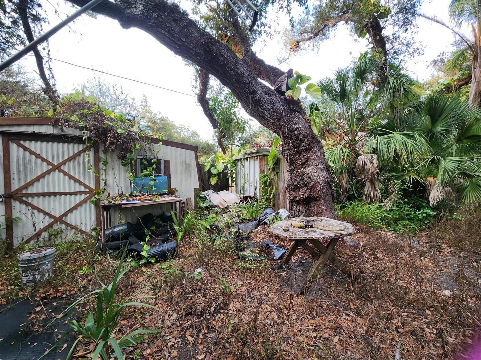 Image 26 of 70 For 286 Shamrock Drive