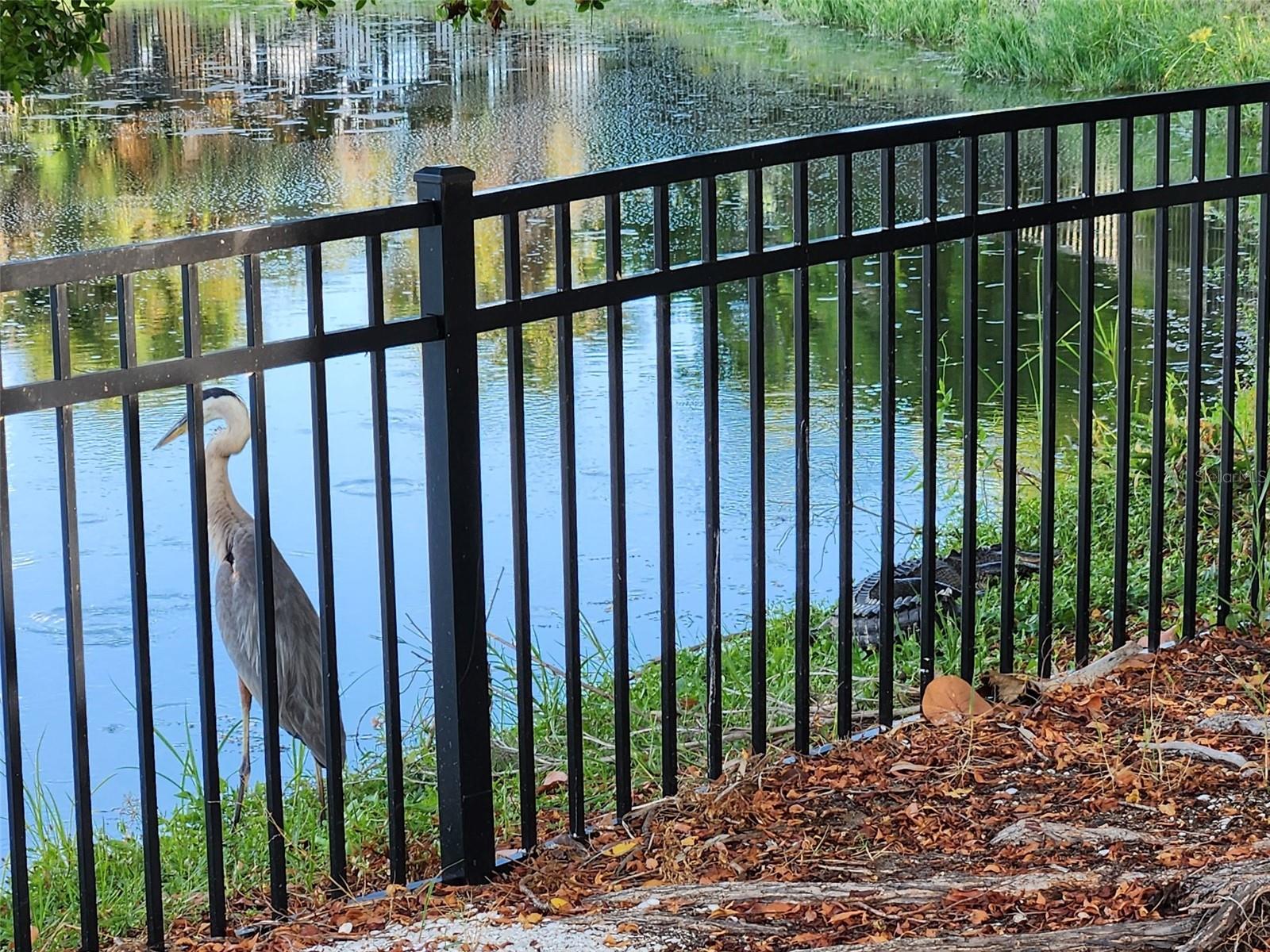 Image 53 of 70 For 286 Shamrock Drive