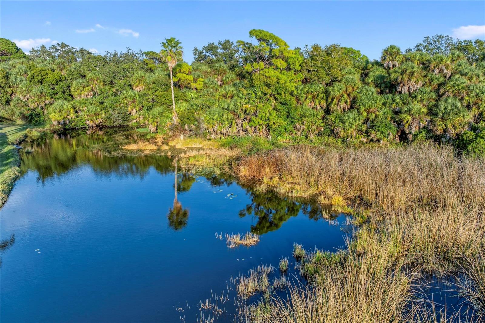 Image 62 of 91 For 5098 Hanging Moss Lane