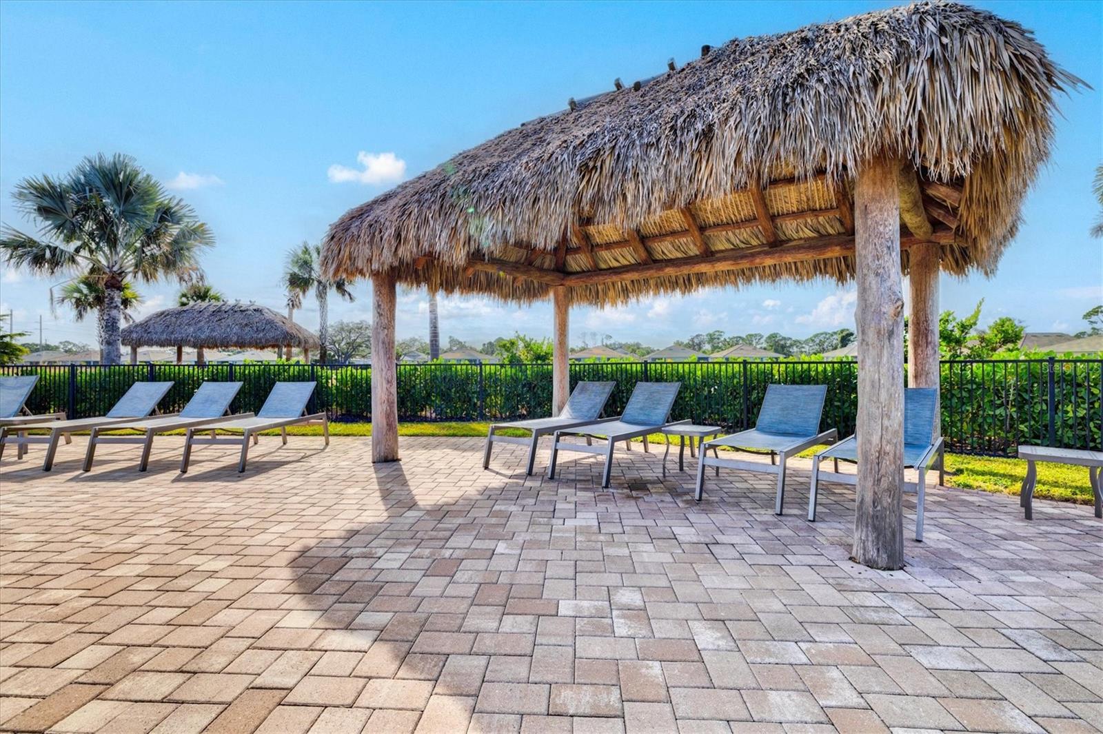 Image 56 of 74 For 208 Ibiza Loop