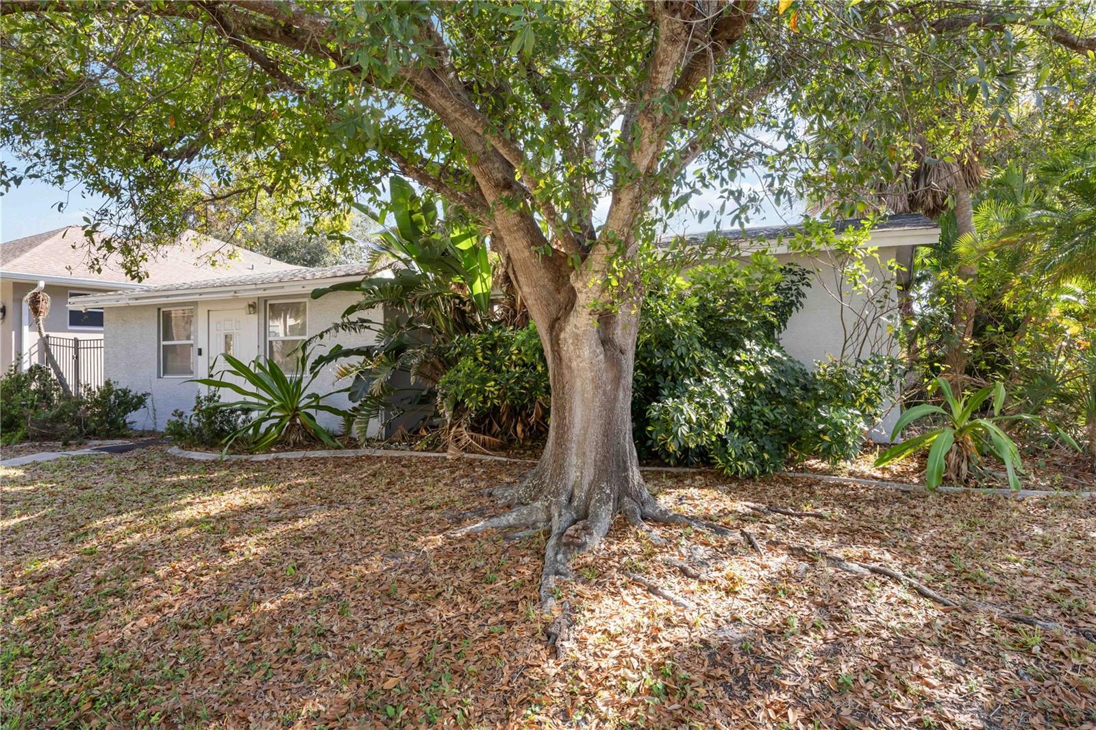 Image 40 of 55 For 300 Field Avenue E