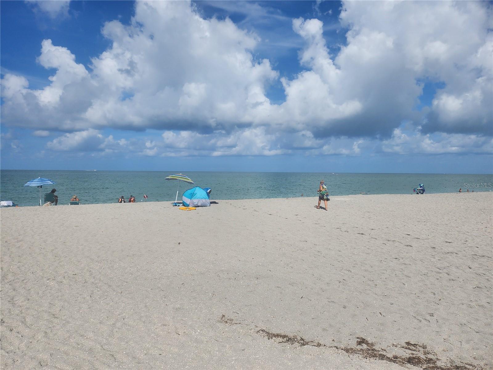 Image 87 of 89 For 443 Belmont Avenue