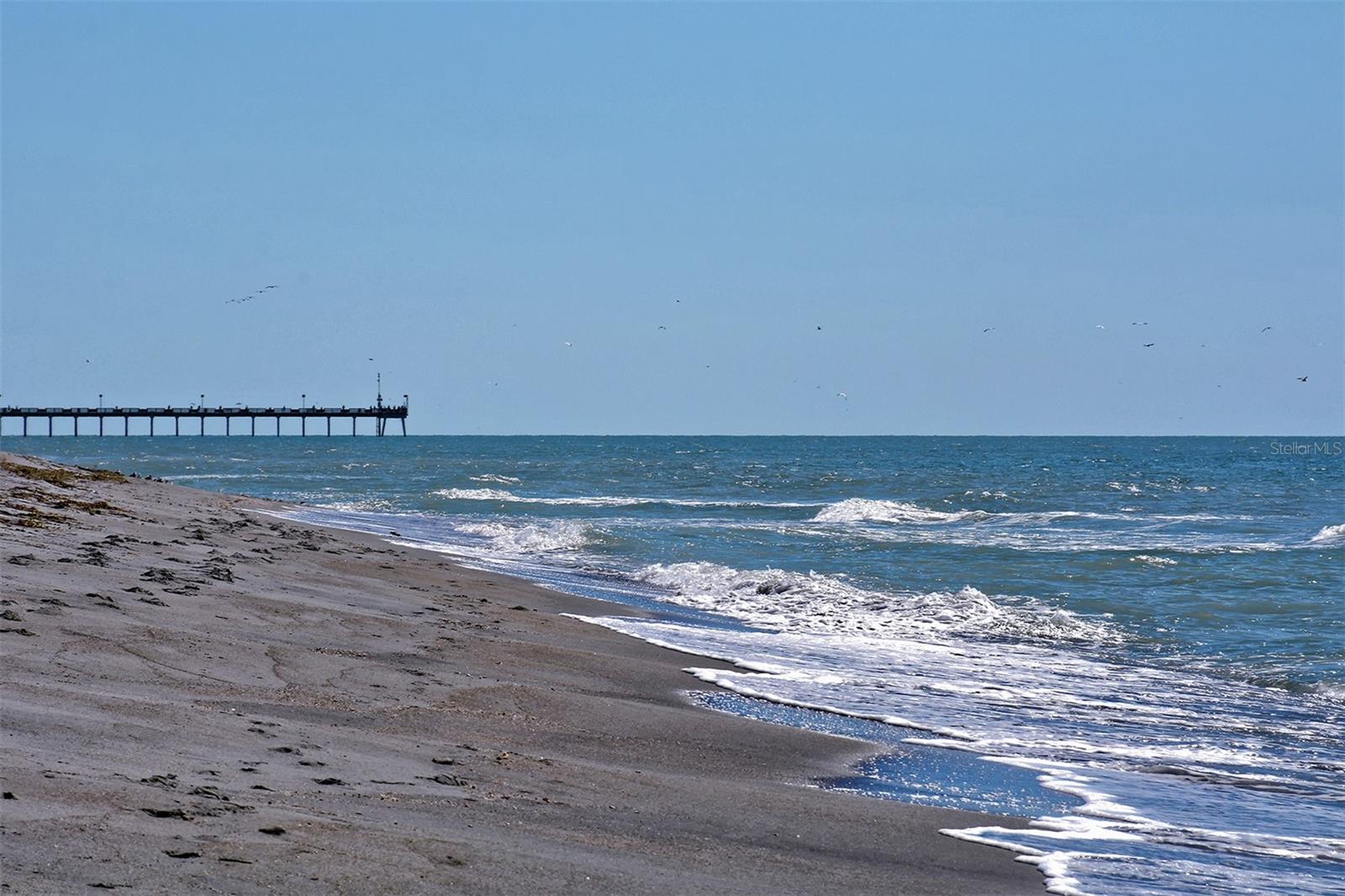 Image 88 of 89 For 443 Belmont Avenue