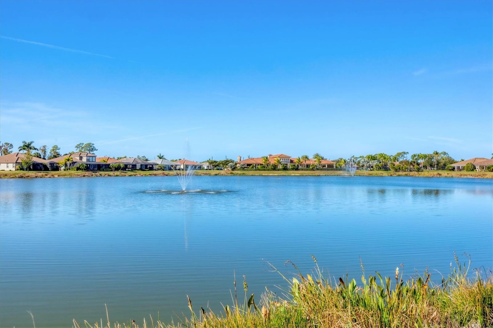 Image 41 of 95 For 11516 Renaissance Boulevard