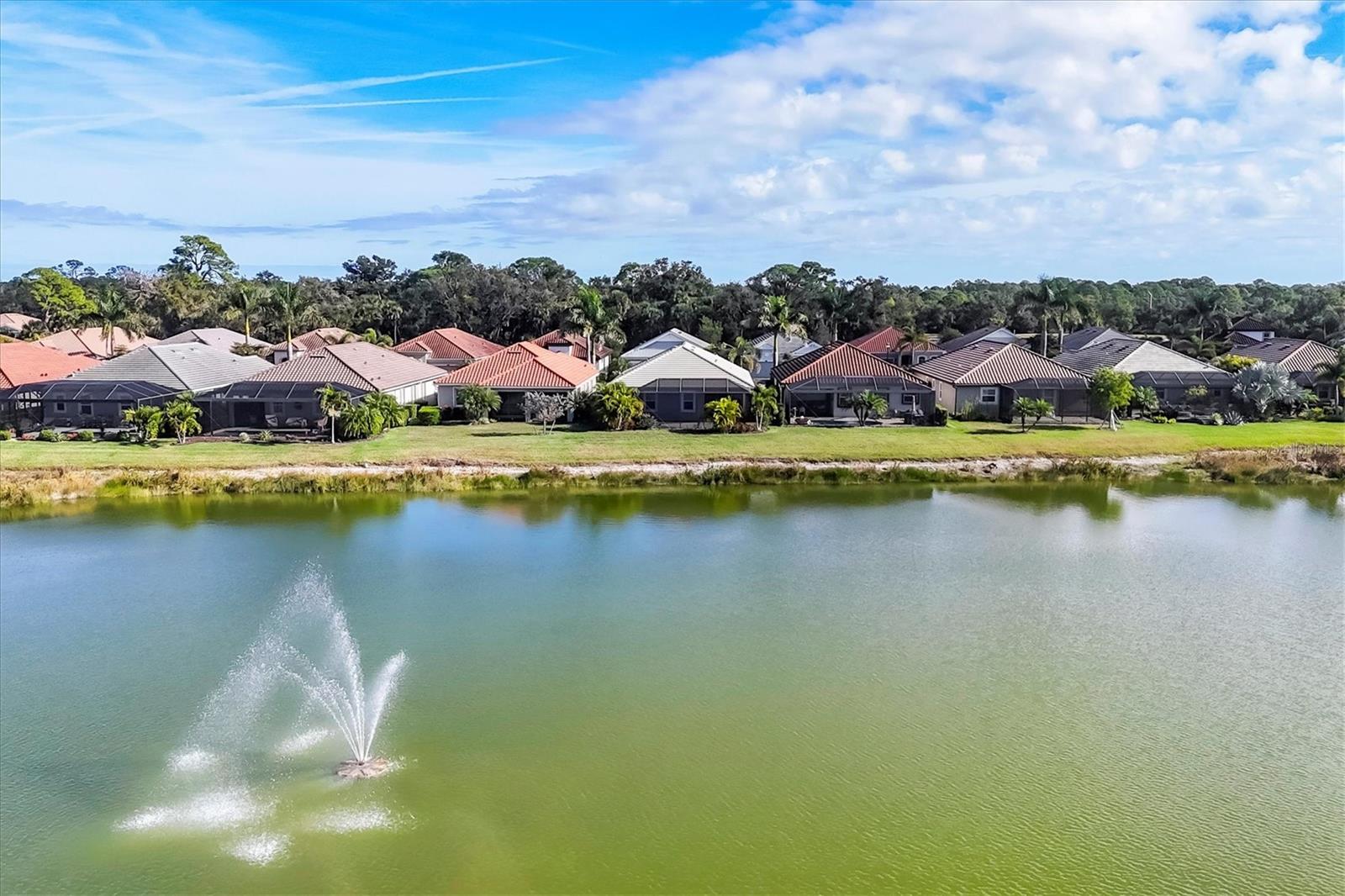 Image 47 of 95 For 11516 Renaissance Boulevard