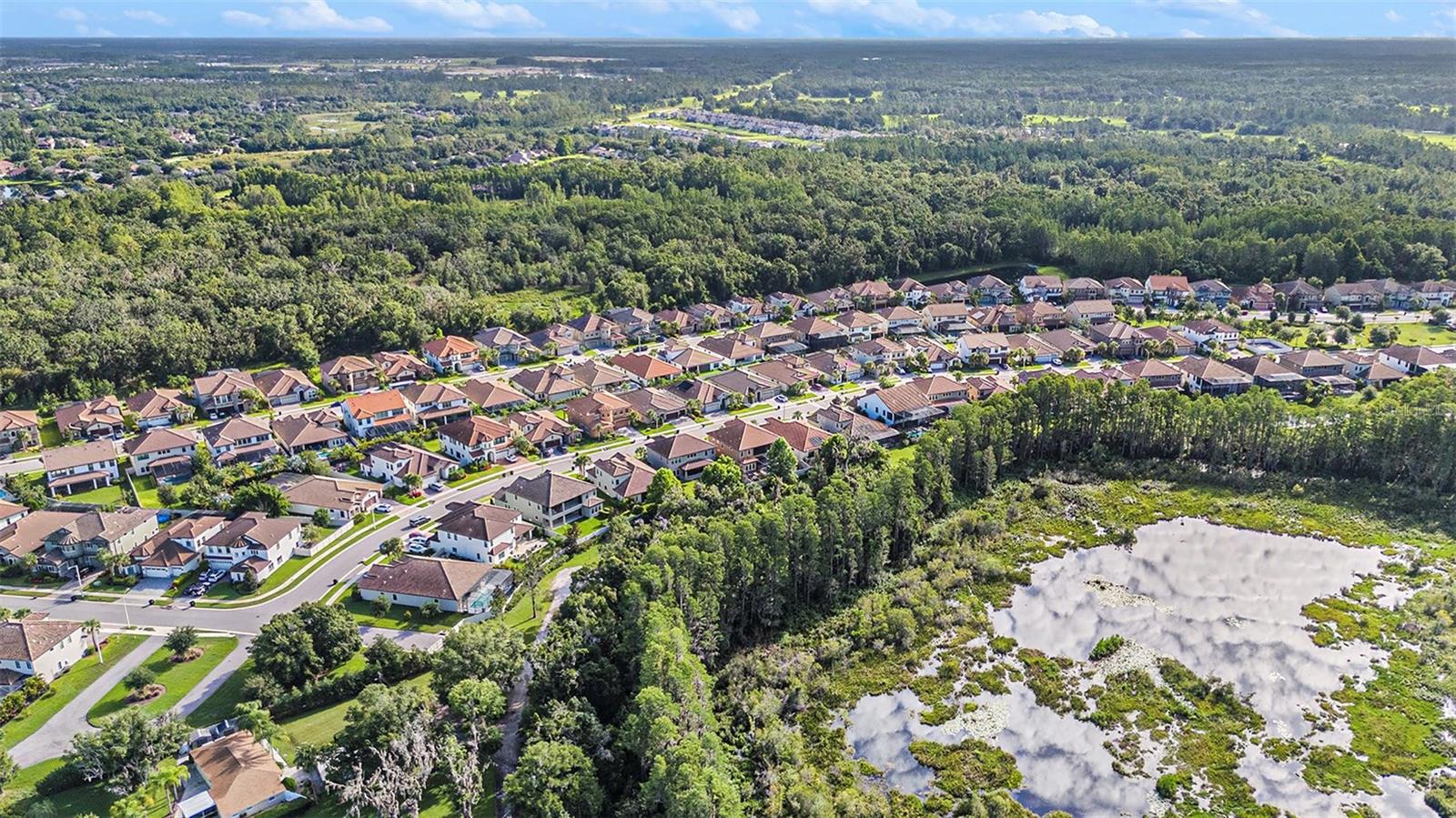 Listing photo id 40 for 21698 Amelia Rose Way