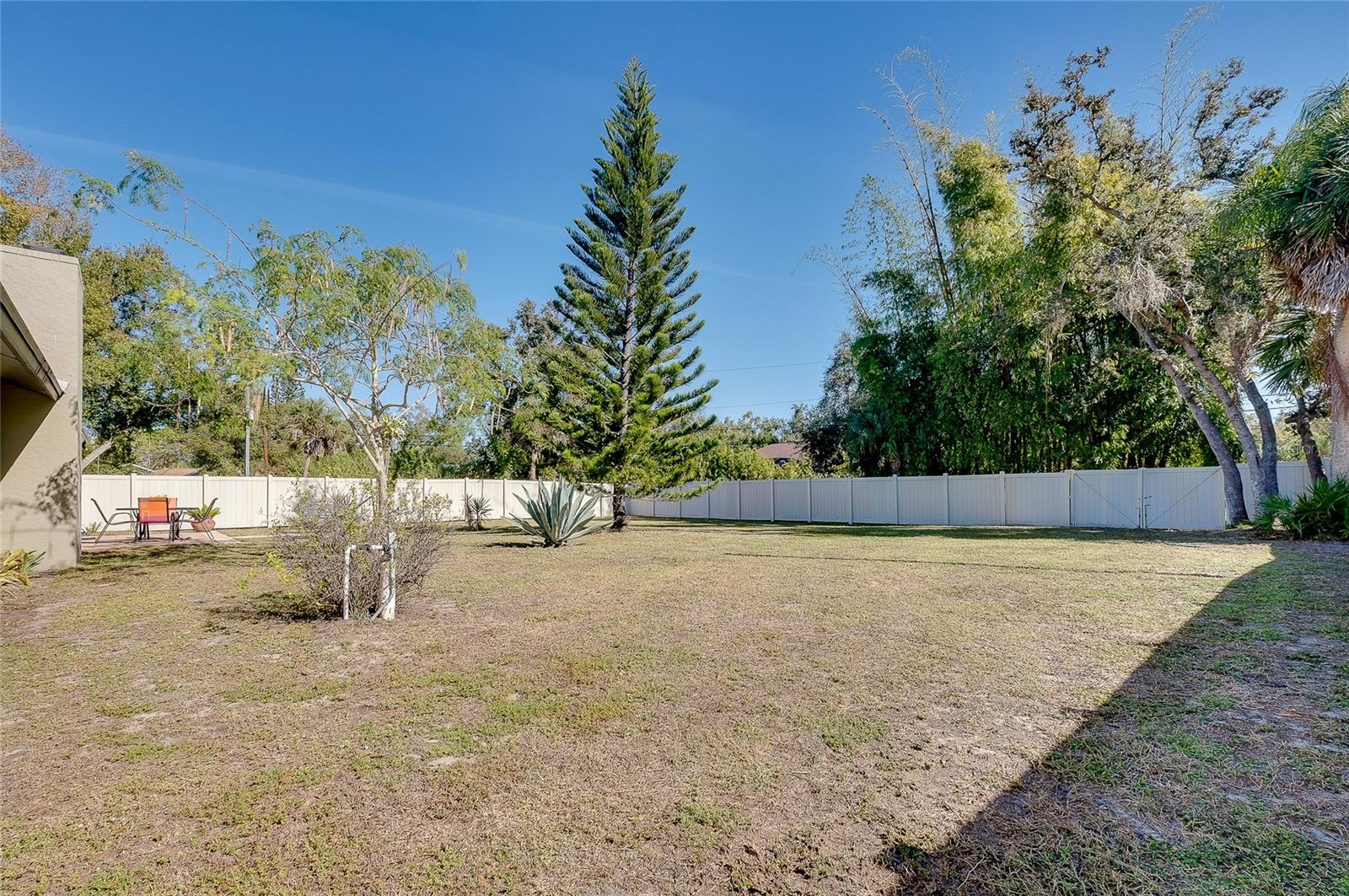 Image 41 of 45 For 2021 Allen Street