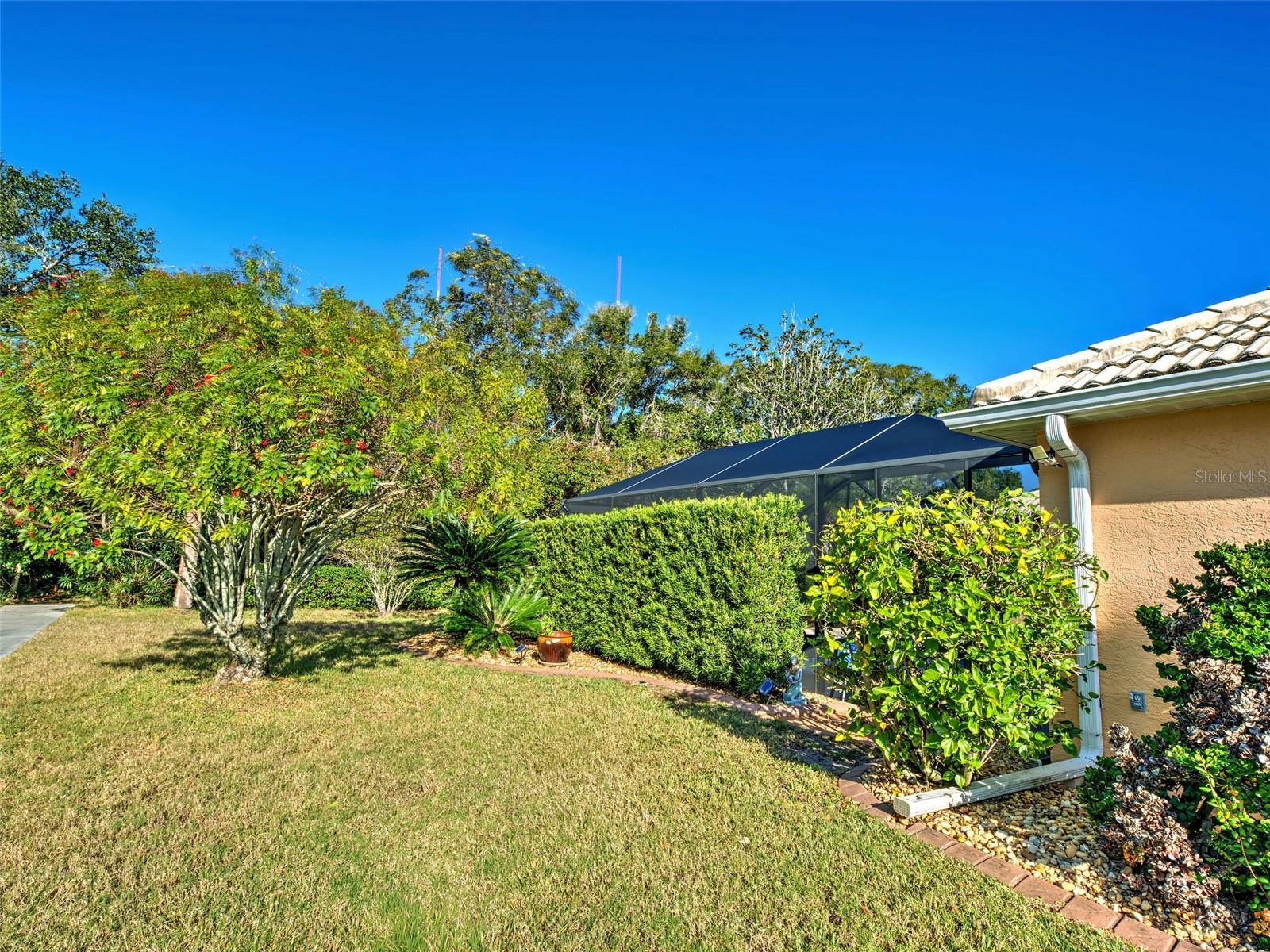 Image 40 of 44 For 181 King Palm Court