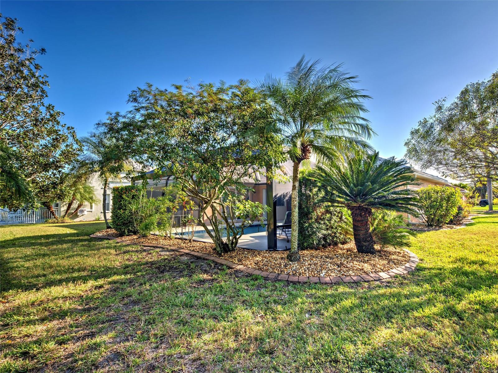 Image 41 of 44 For 181 King Palm Court