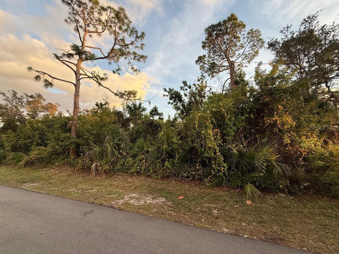 Details for Jupiter Road, VENICE, FL 34293