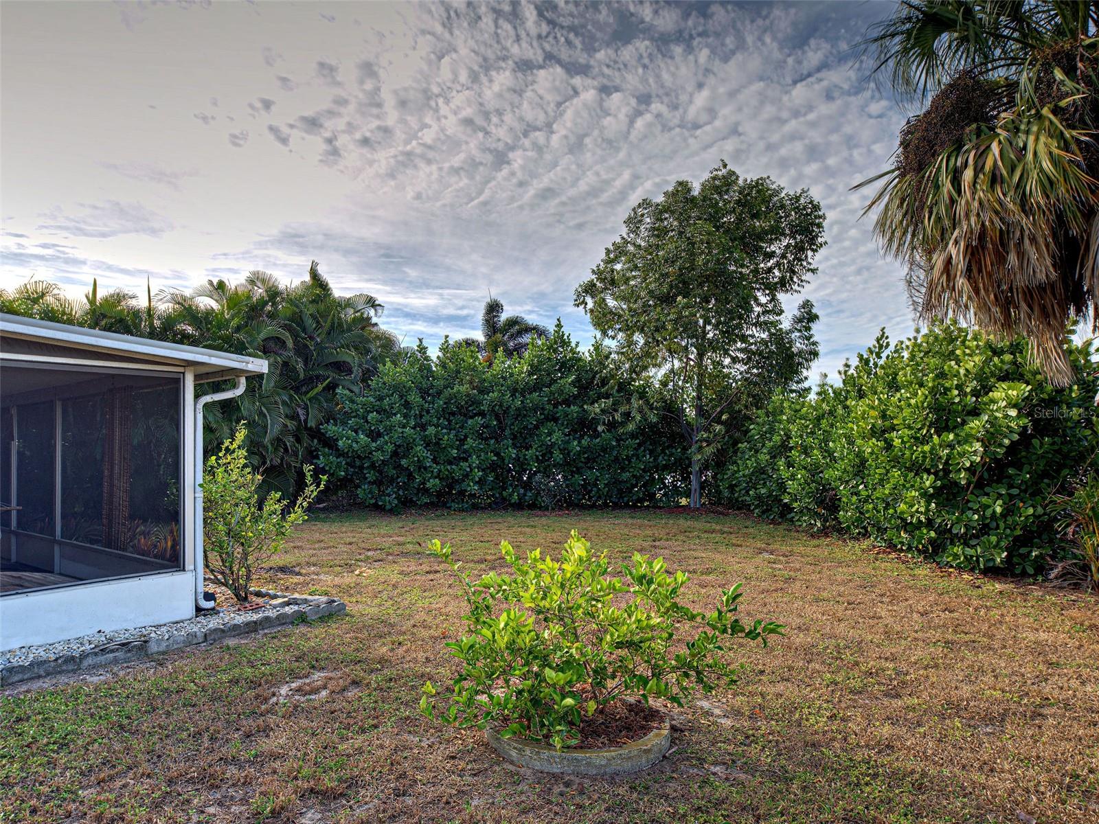 Image 45 of 48 For 3371 Pinetree Street