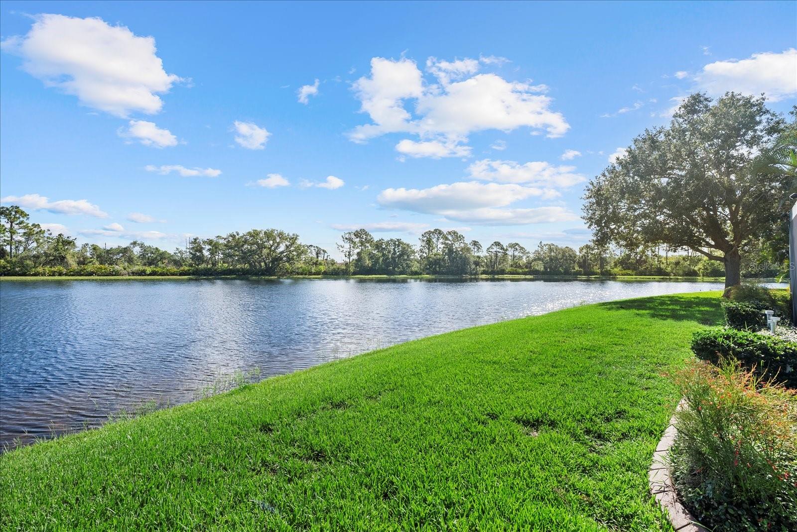 Image 33 of 44 For 11383 Dancing River Drive