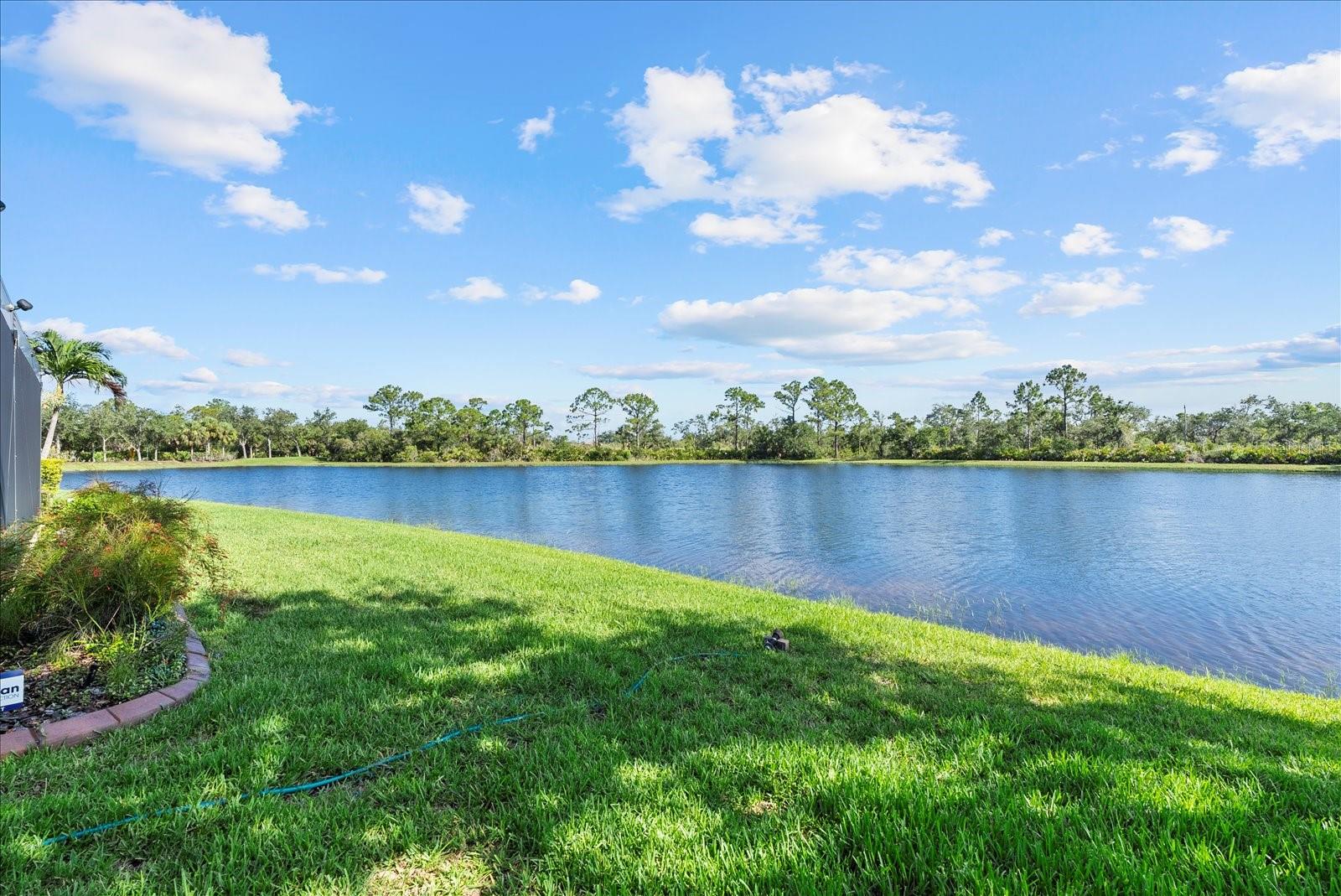 Image 4 of 44 For 11383 Dancing River Drive