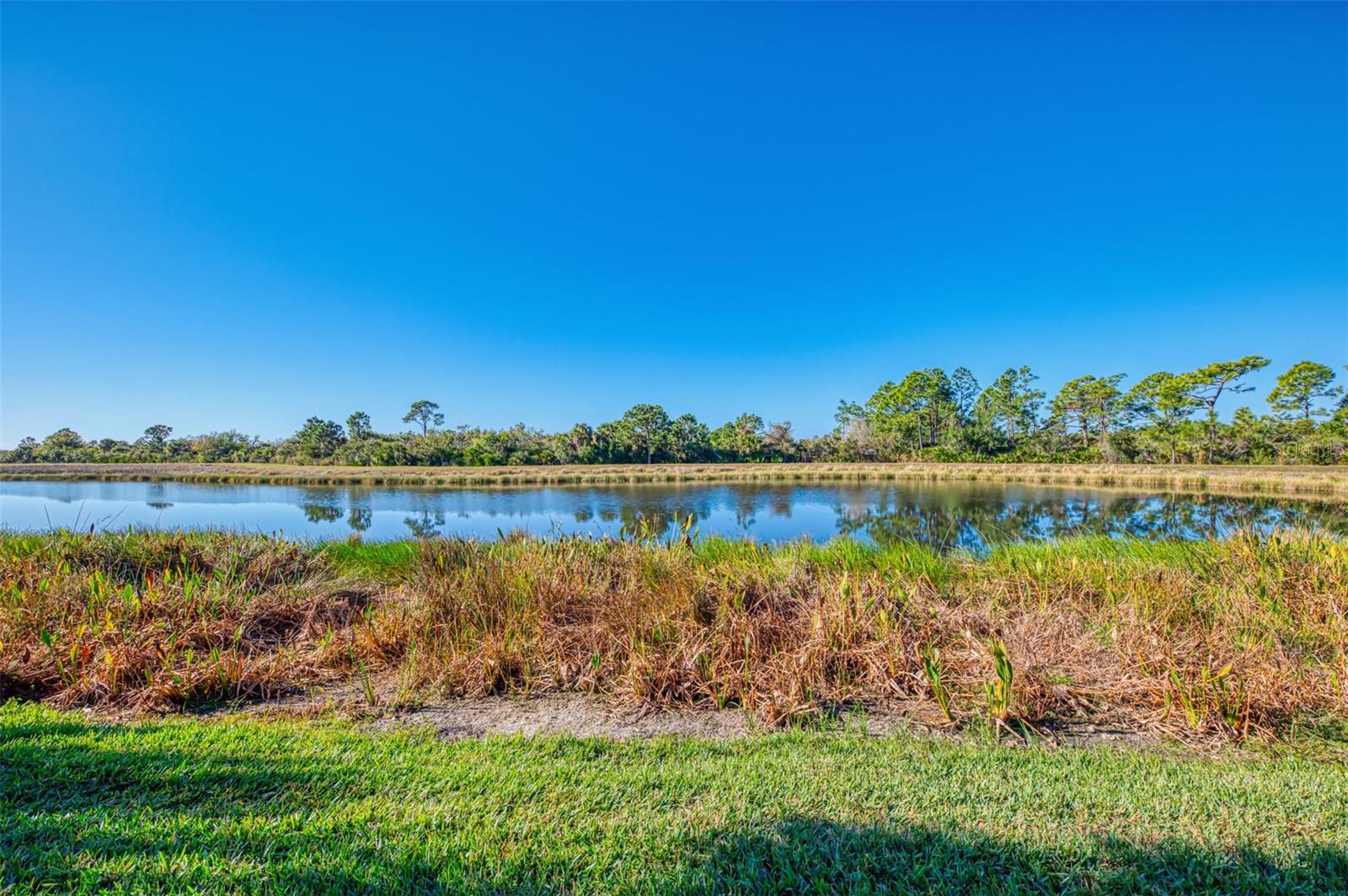 Image 57 of 60 For 10415 Medjool Drive