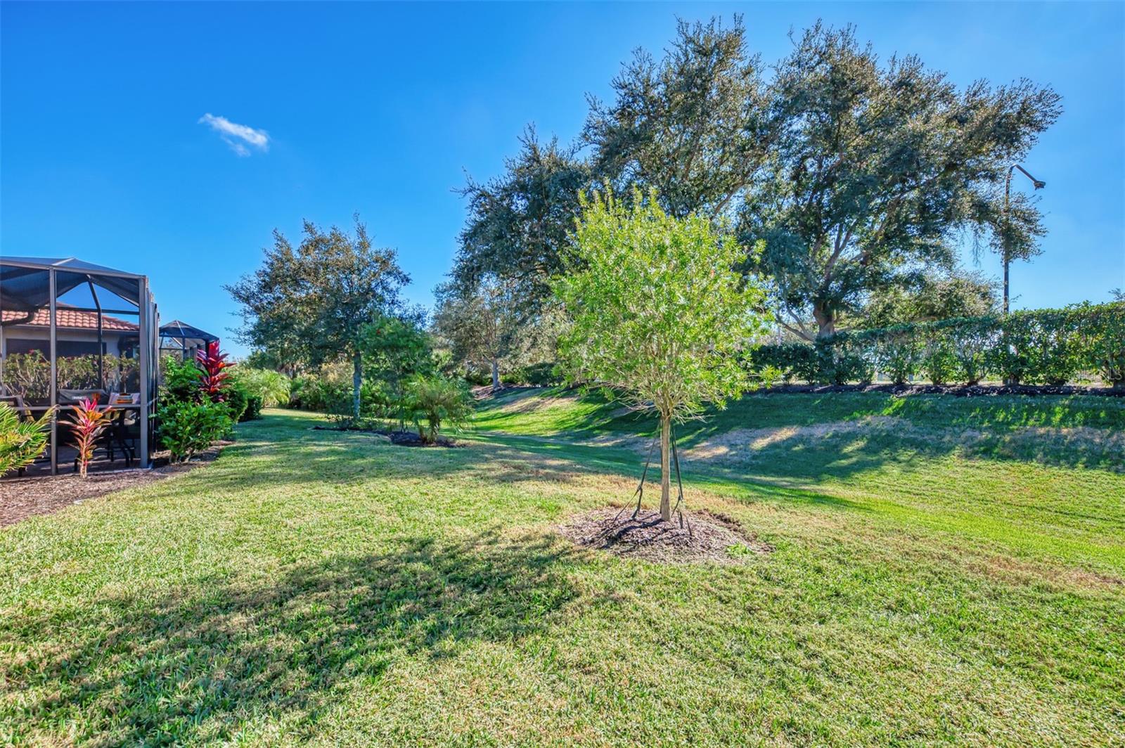 Image 47 of 49 For 20235 Pezzana Drive