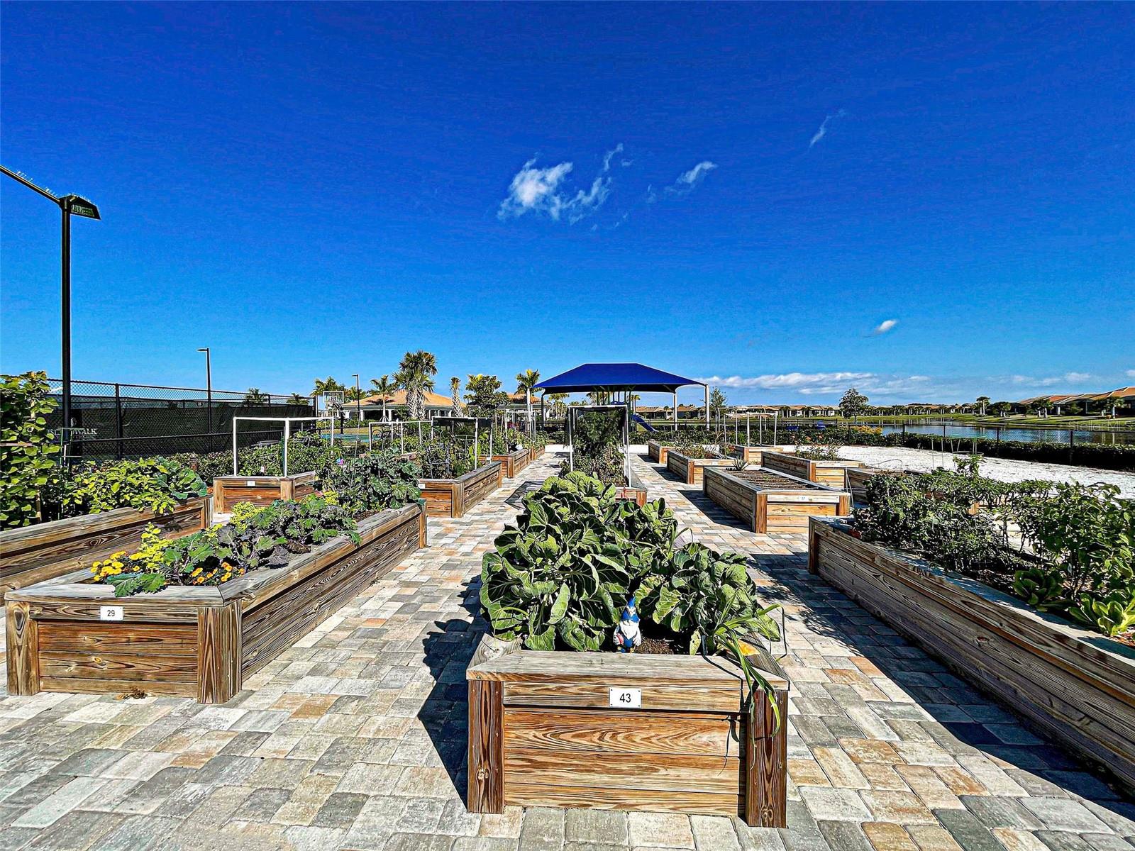 Image 65 of 87 For 13716 Vadini Street