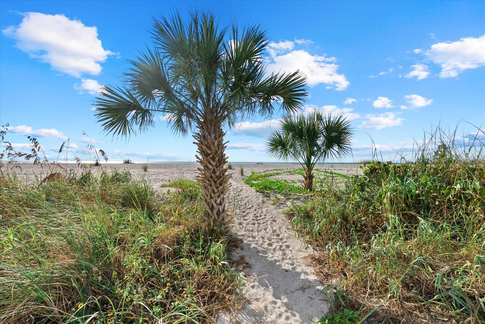 Image 24 of 45 For 950 Tarpon Center Drive 101