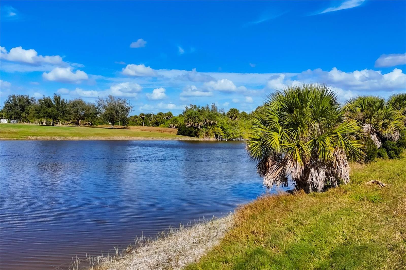 Image 49 of 64 For 337 Boundary Boulevard