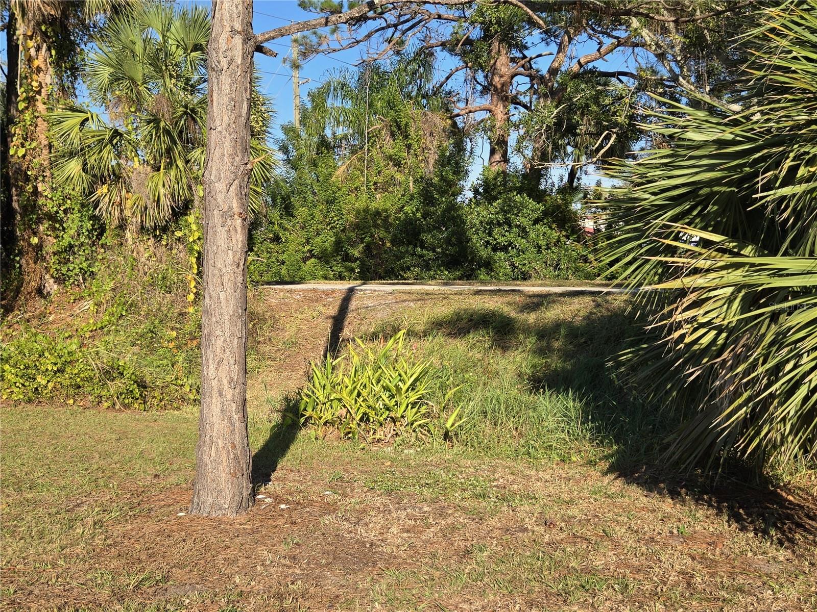 Image 8 of 25 For 424 Hatchett Creek Road