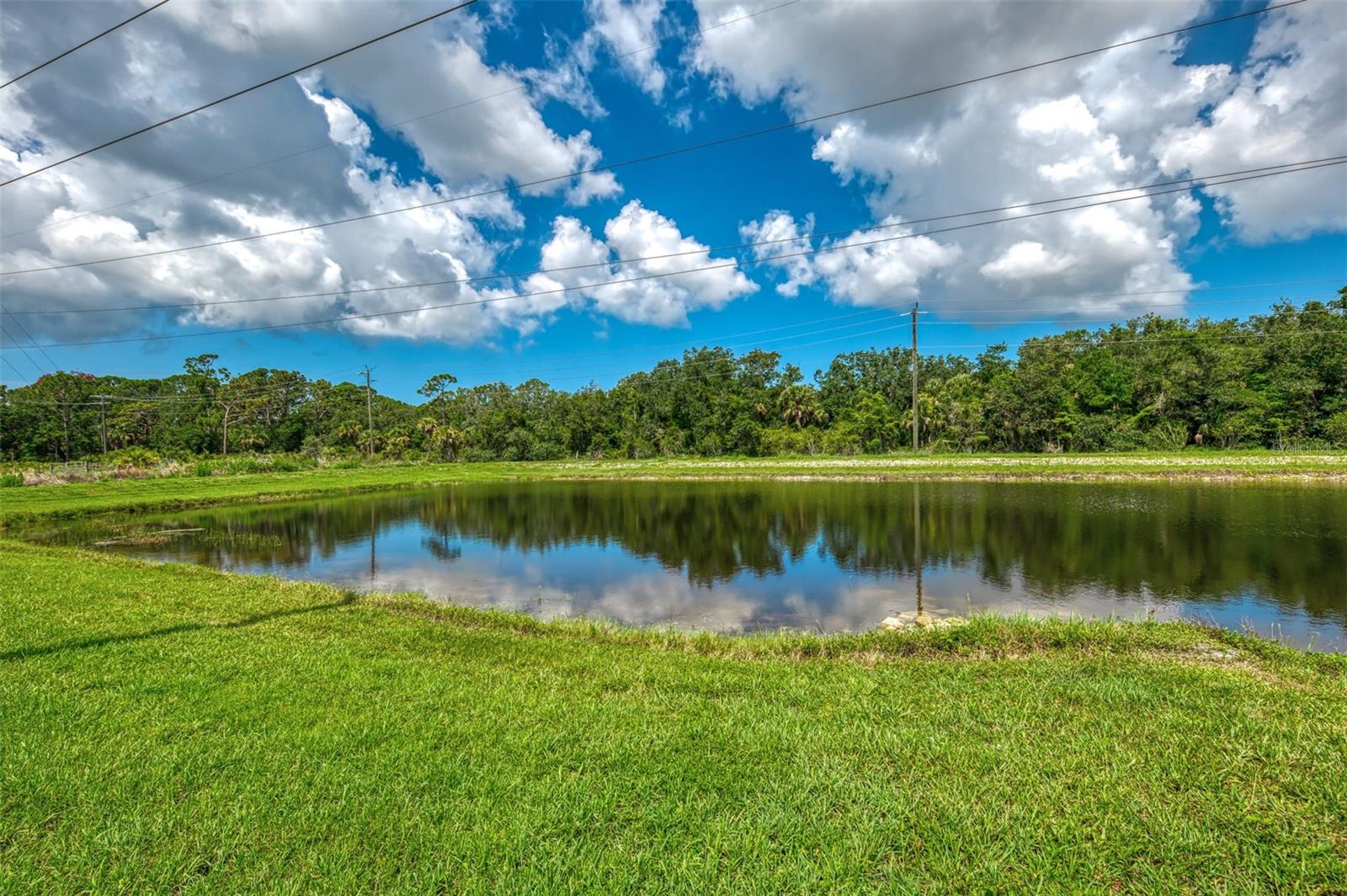 Image 43 of 90 For 371 Capulet Drive