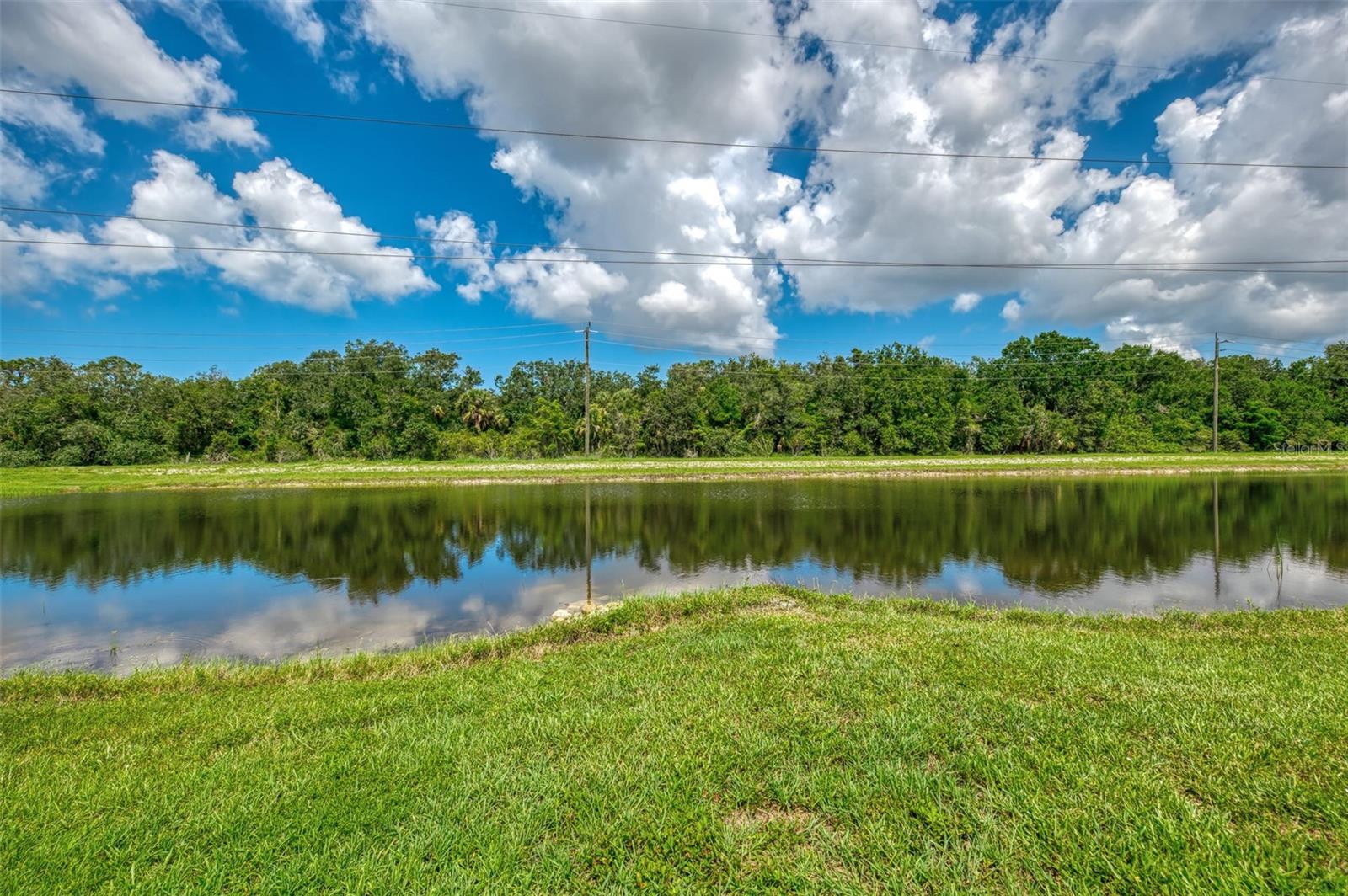 Image 44 of 90 For 371 Capulet Drive