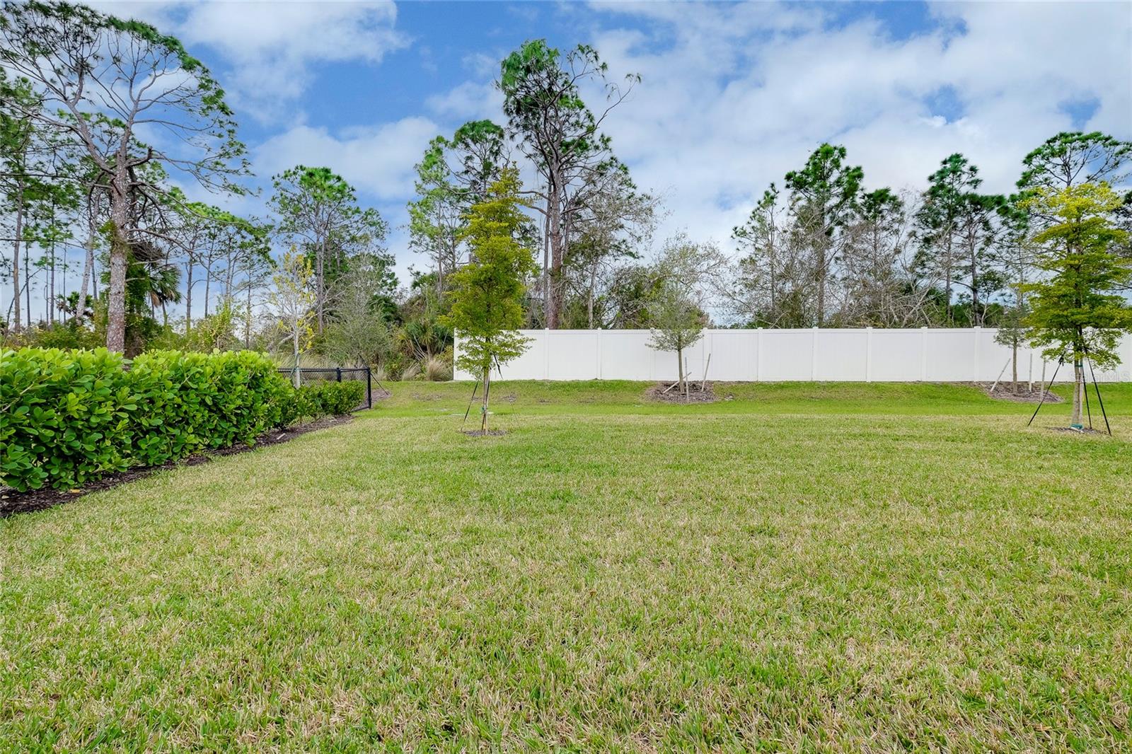 Image 63 of 79 For 438 Ibiza Loop