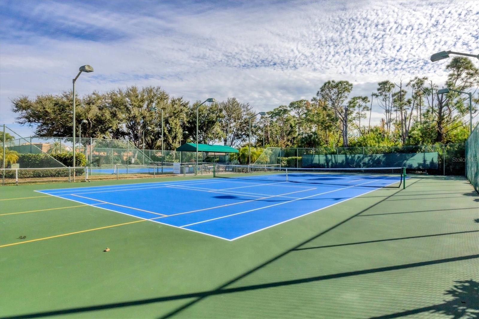 Image 69 of 74 For 4360 Corso Venetia Boulevard