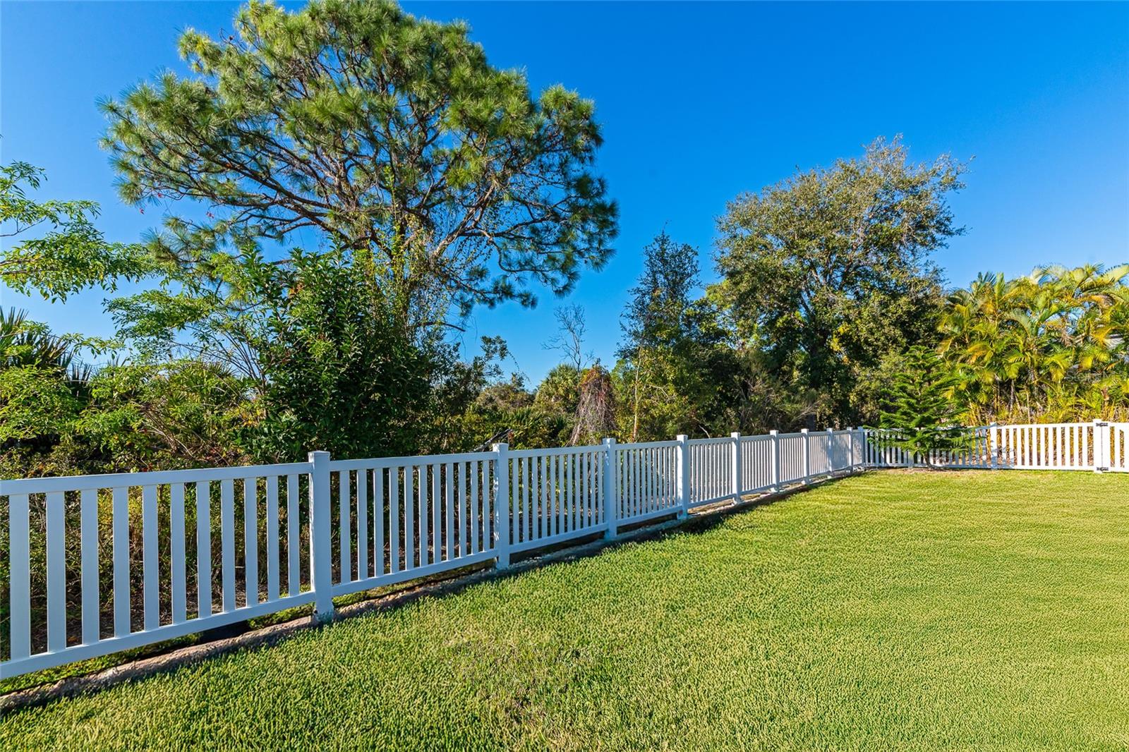 Image 45 of 56 For 1019 Scherer Way