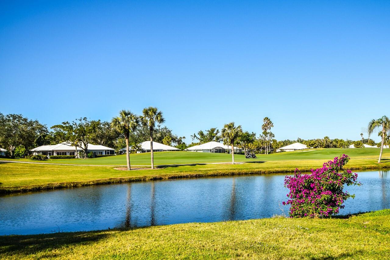 Image 33 of 52 For 427 Cerromar Lane 356