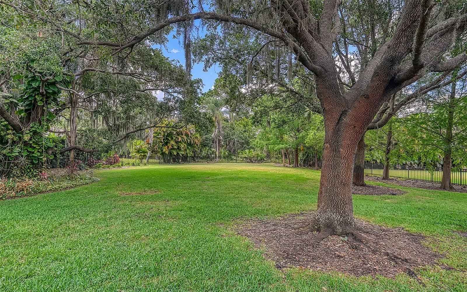 Image 62 of 79 For 1109 Delacroix Circle