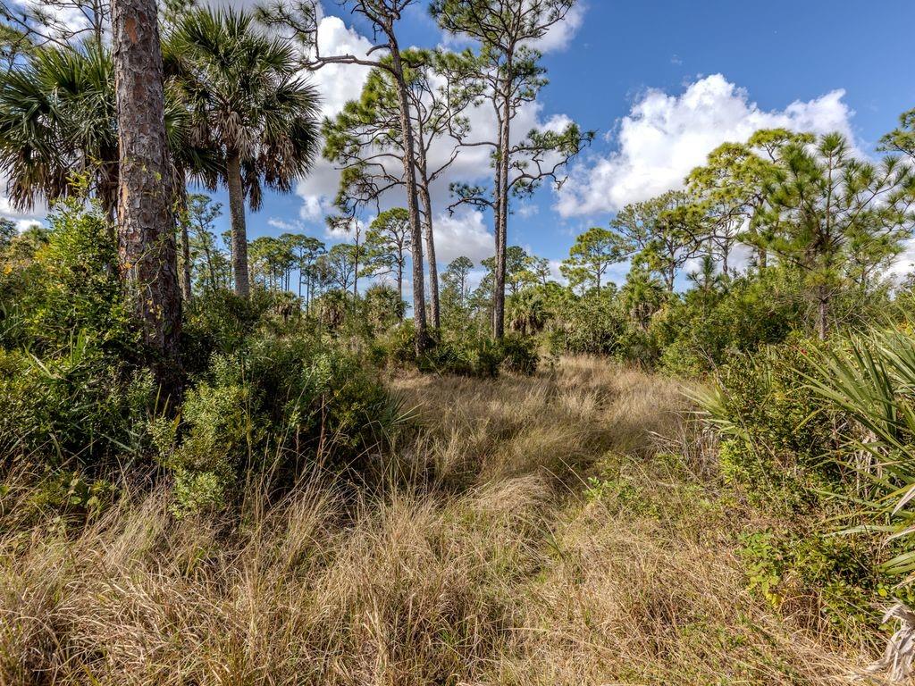 Image 16 of 26 For 9008 Falcon Court