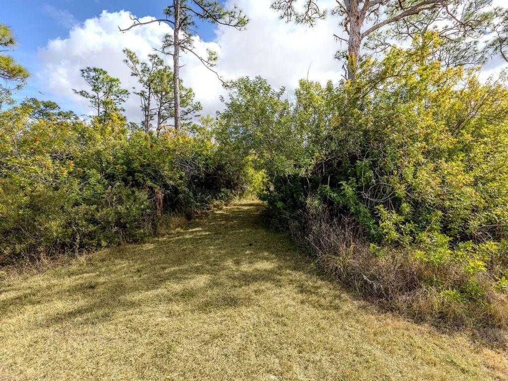 Image 17 of 26 For 9008 Falcon Court