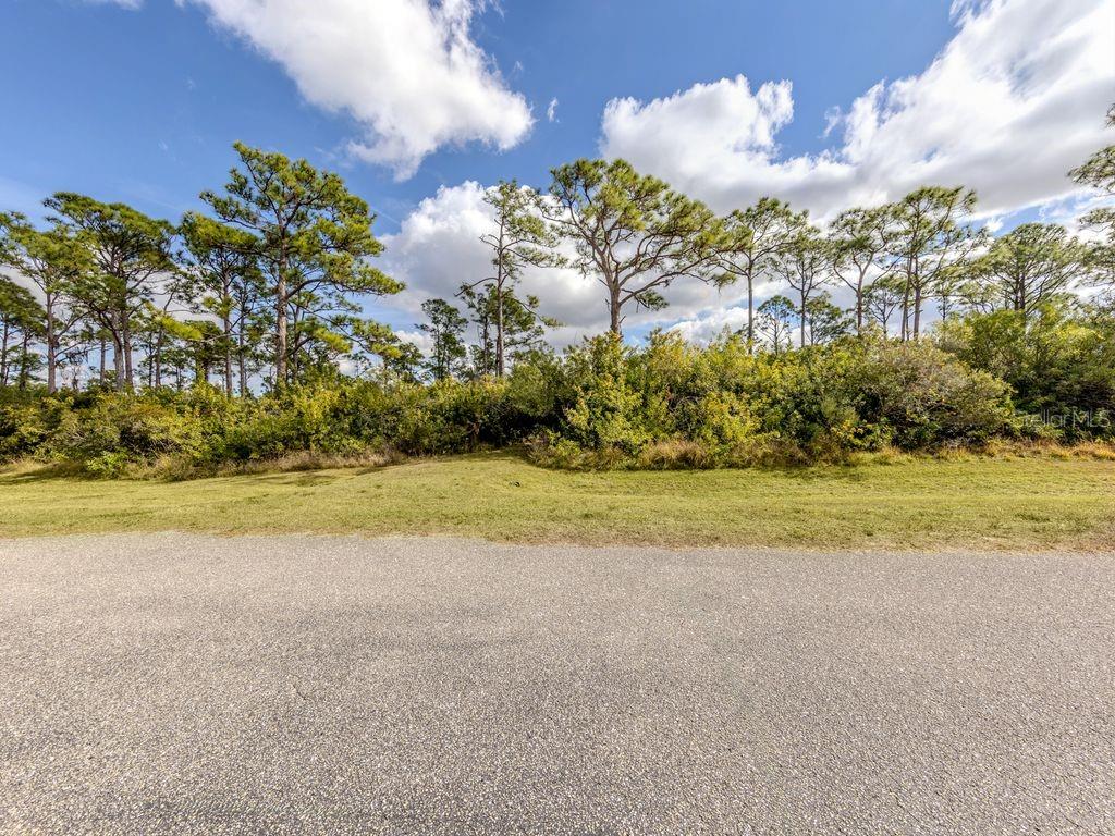 Image 18 of 26 For 9008 Falcon Court