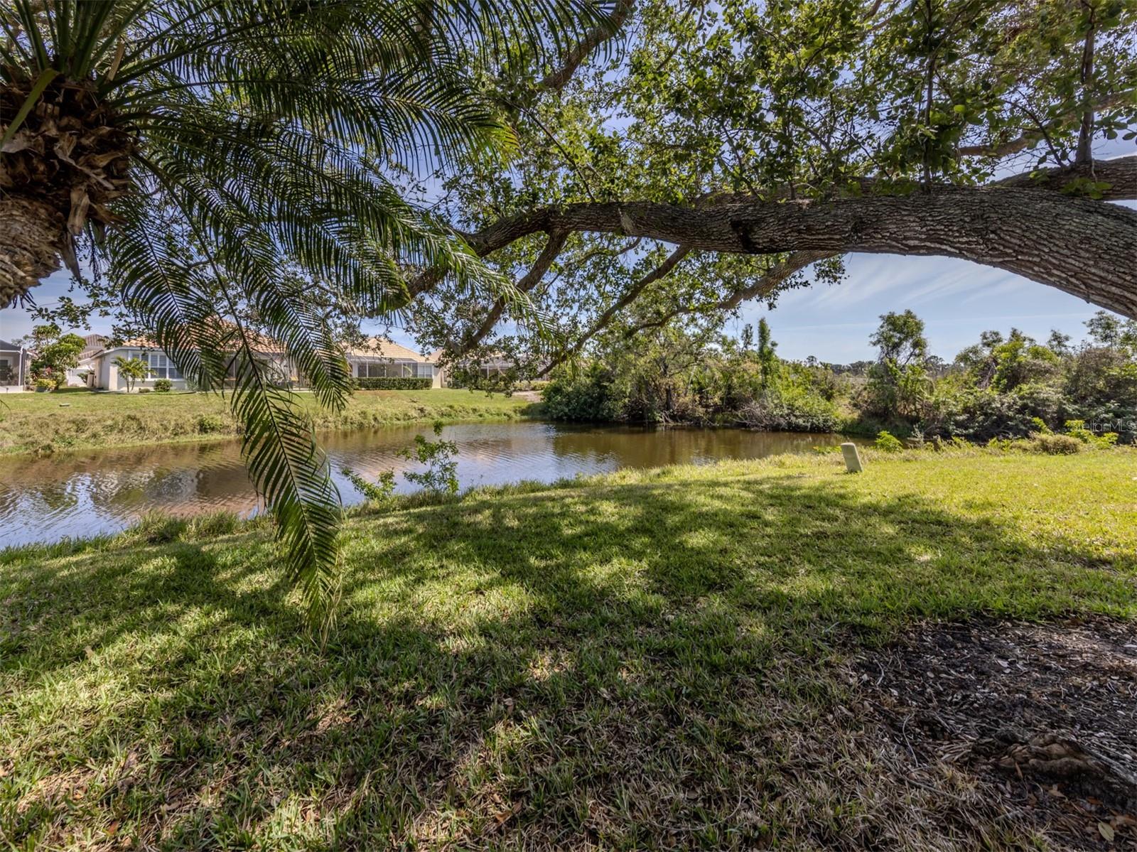 Image 6 of 100 For 268 Southampton Drive 309