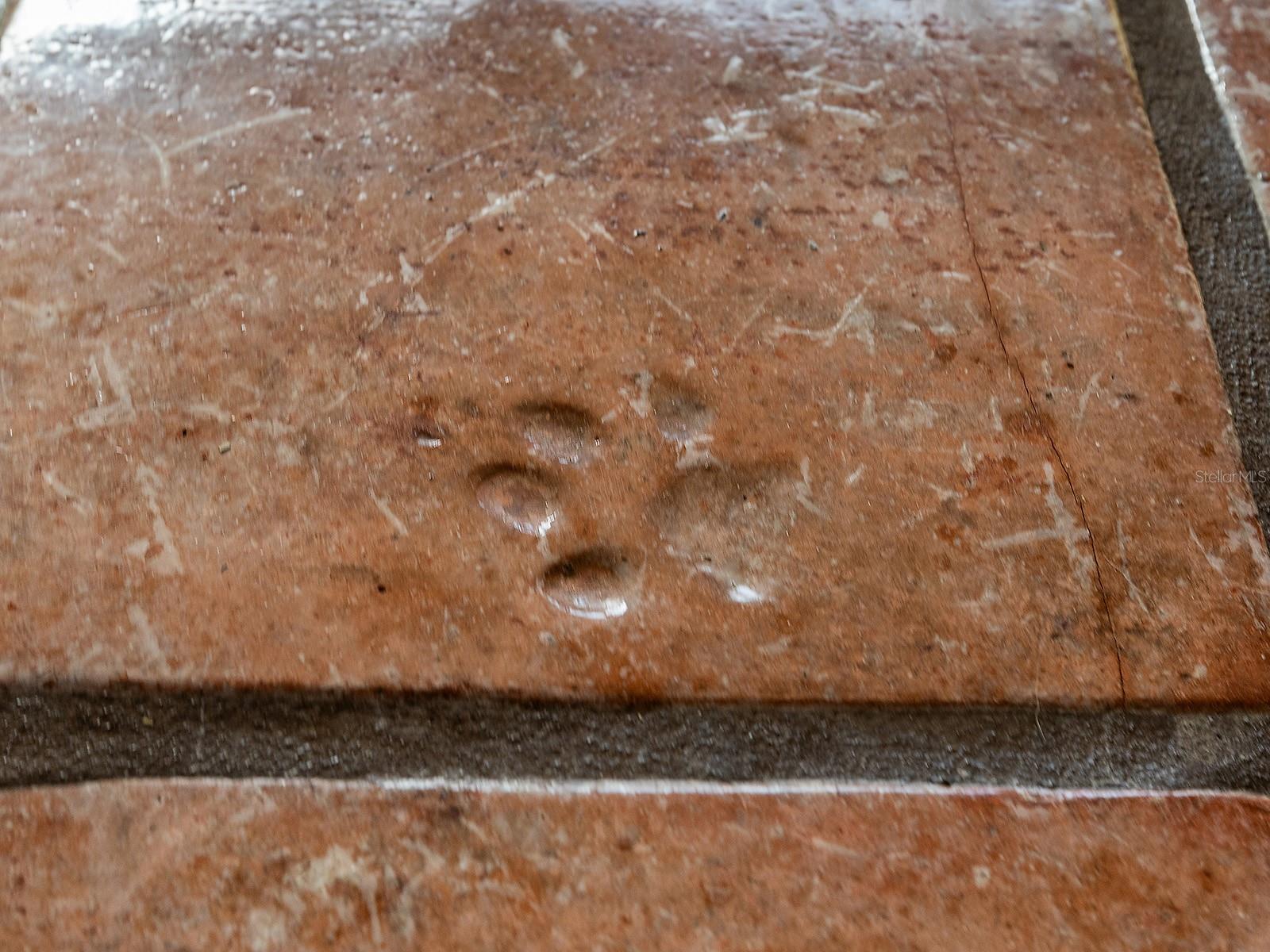 Image 22 of 40 For 3932 Ragen Street