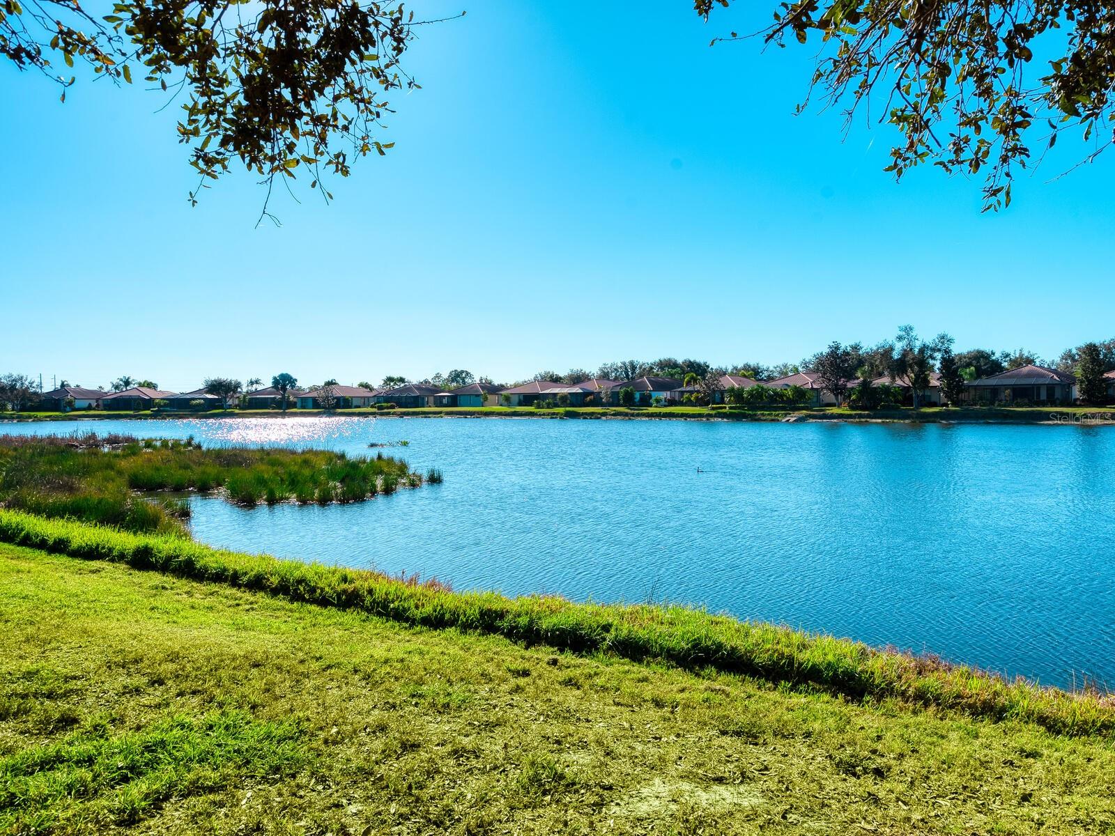 Image 10 of 41 For 11127 Campazzo Drive