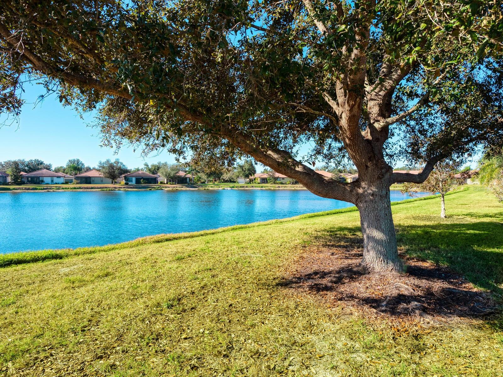 Image 9 of 41 For 11127 Campazzo Drive