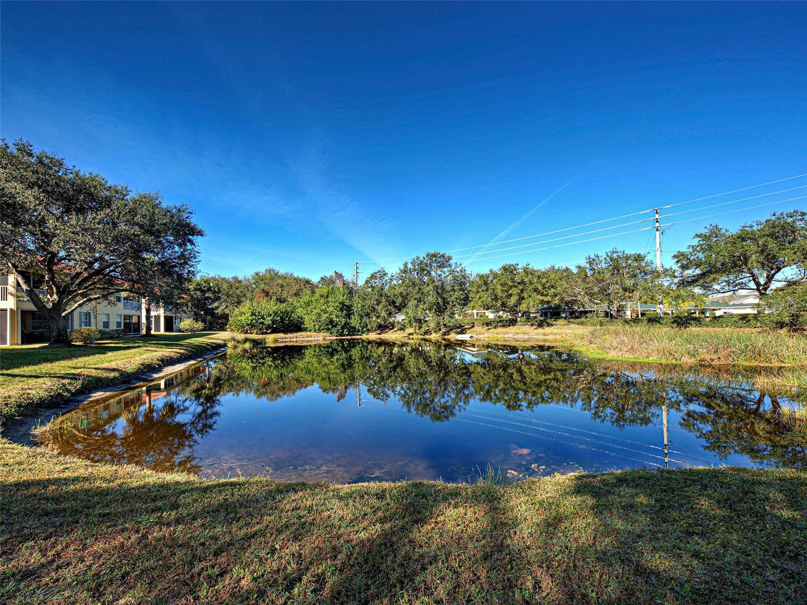 Image 41 of 49 For 703 Casa Del Lago Way 703