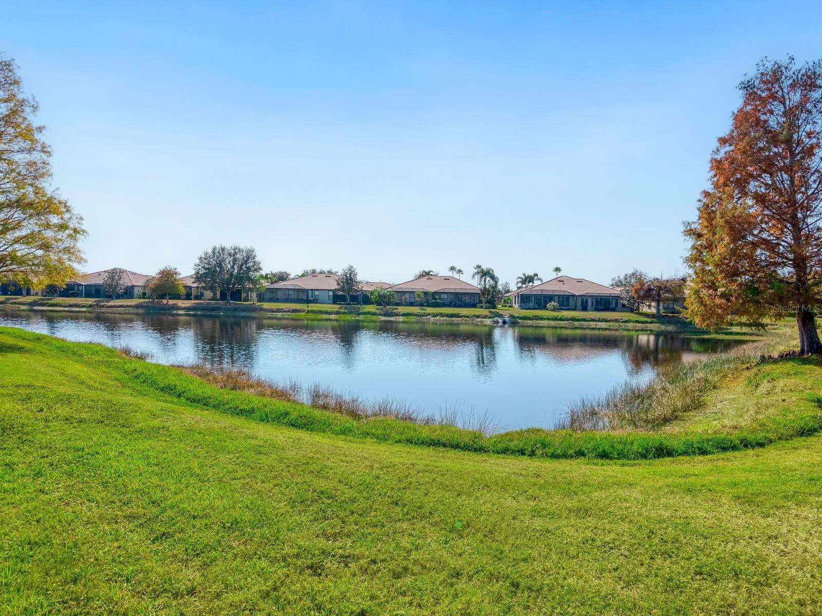 Image 8 of 46 For 1856 Batello Drive