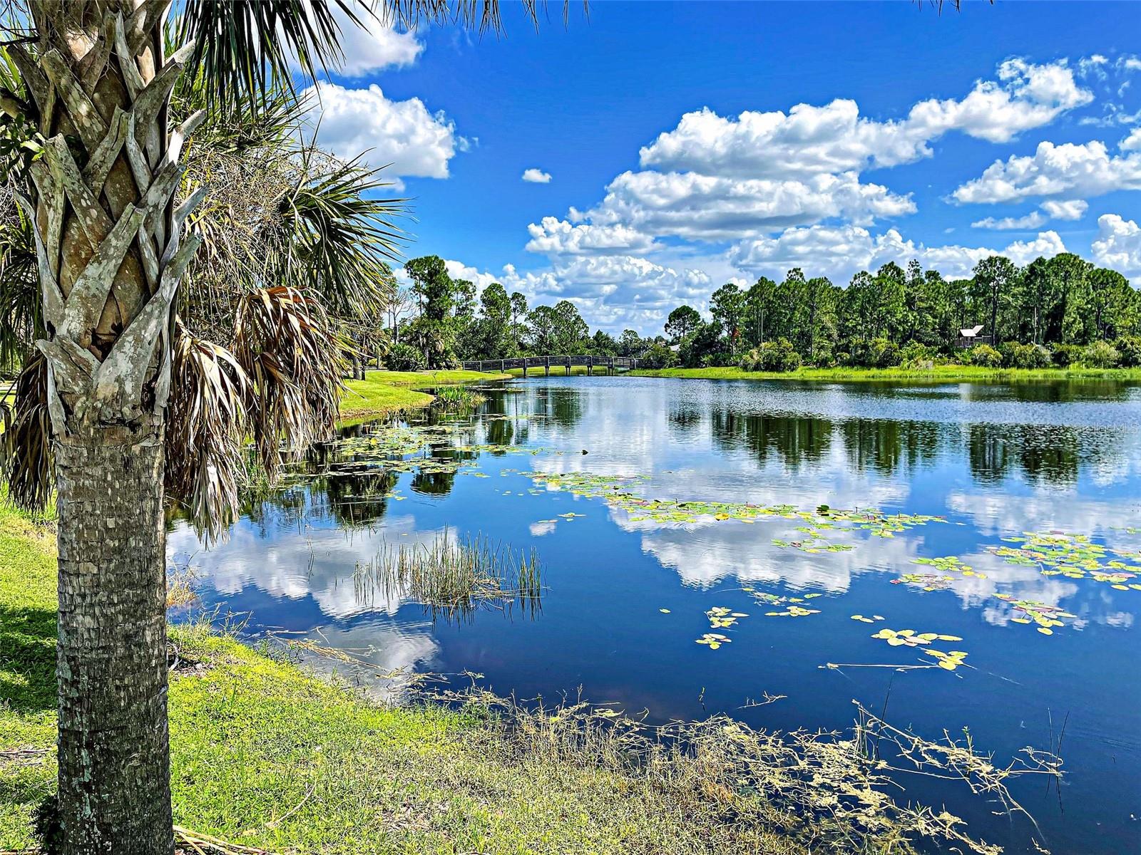 Image 43 of 44 For 12580 Sagewood Drive