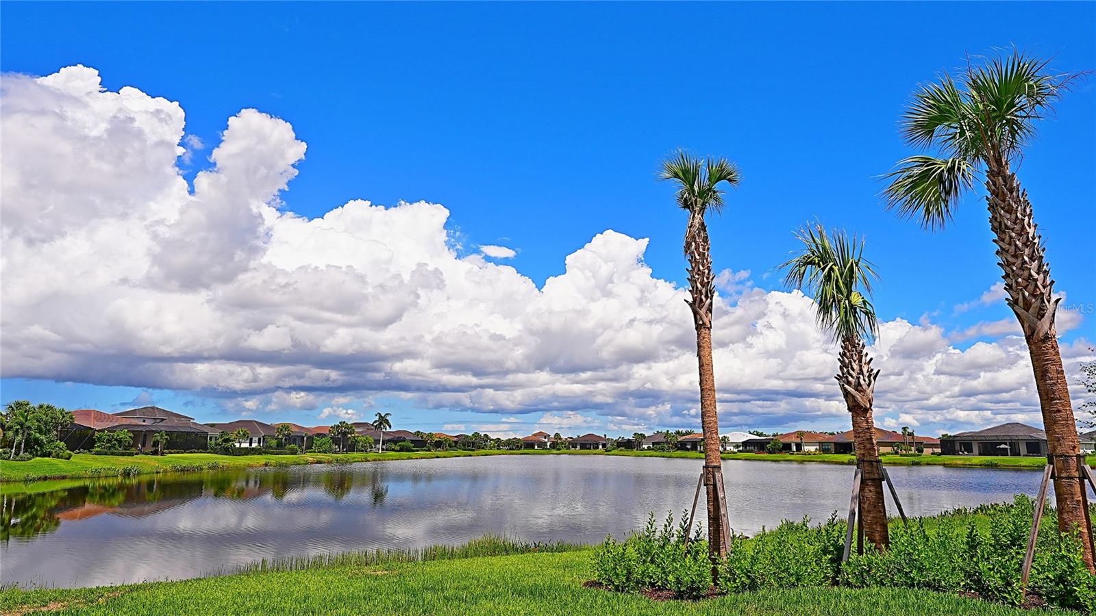 Image 6 of 44 For 9124 Bernini Place