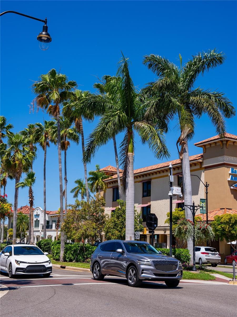 Image 44 of 51 For 337 Cipriani Way