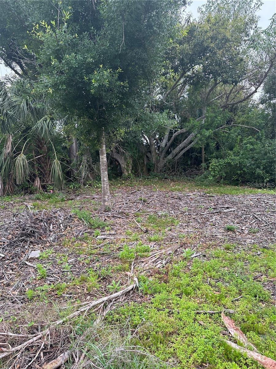 Image 3 of 14 For 1015 Elm Street