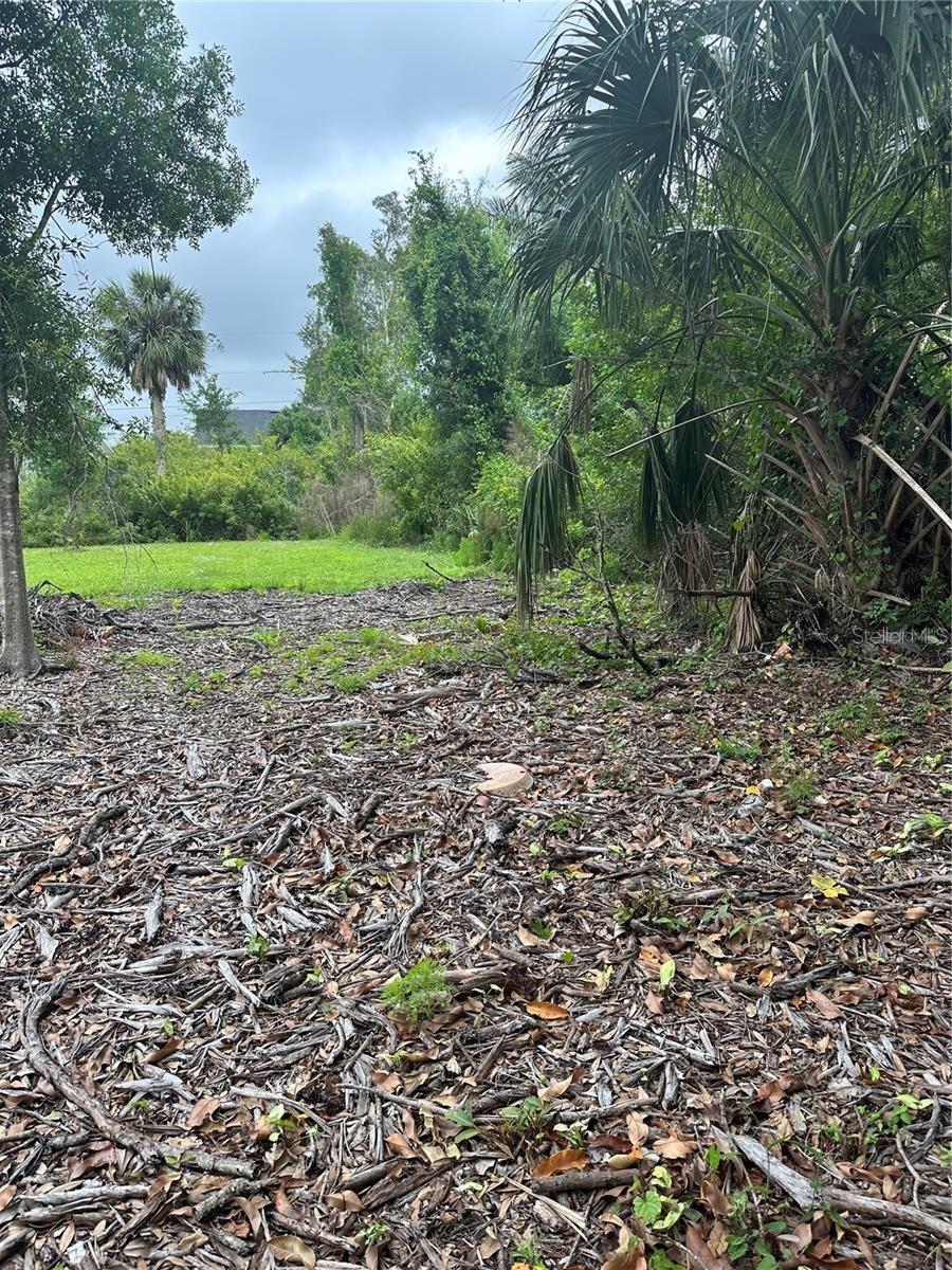 Image 4 of 14 For 1015 Elm Street