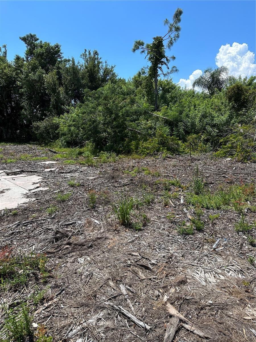 Image 7 of 14 For 1015 Elm Street